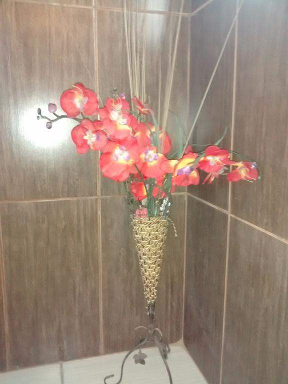 Pousada Familia Flores بنها المظهر الخارجي الصورة